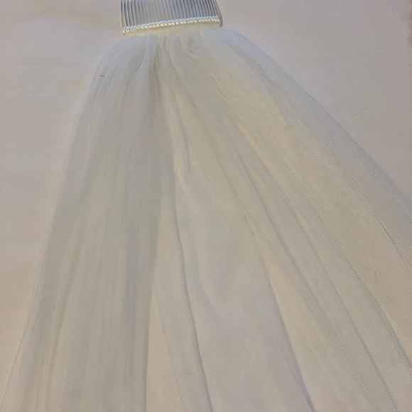 Bridal Veil Wedding - Picture 2 of 4